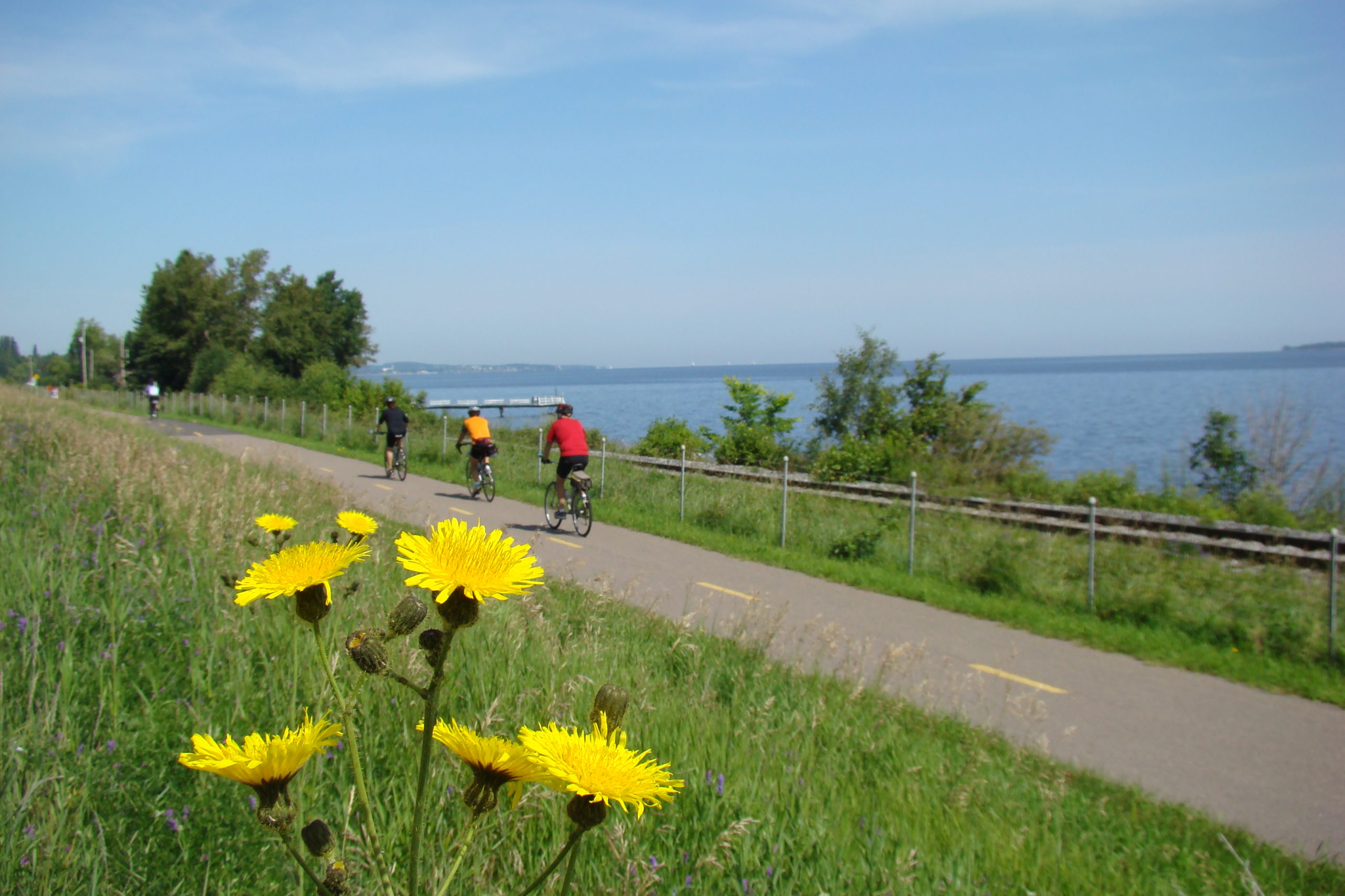 SADC Lac-Saint-Jean Ouest