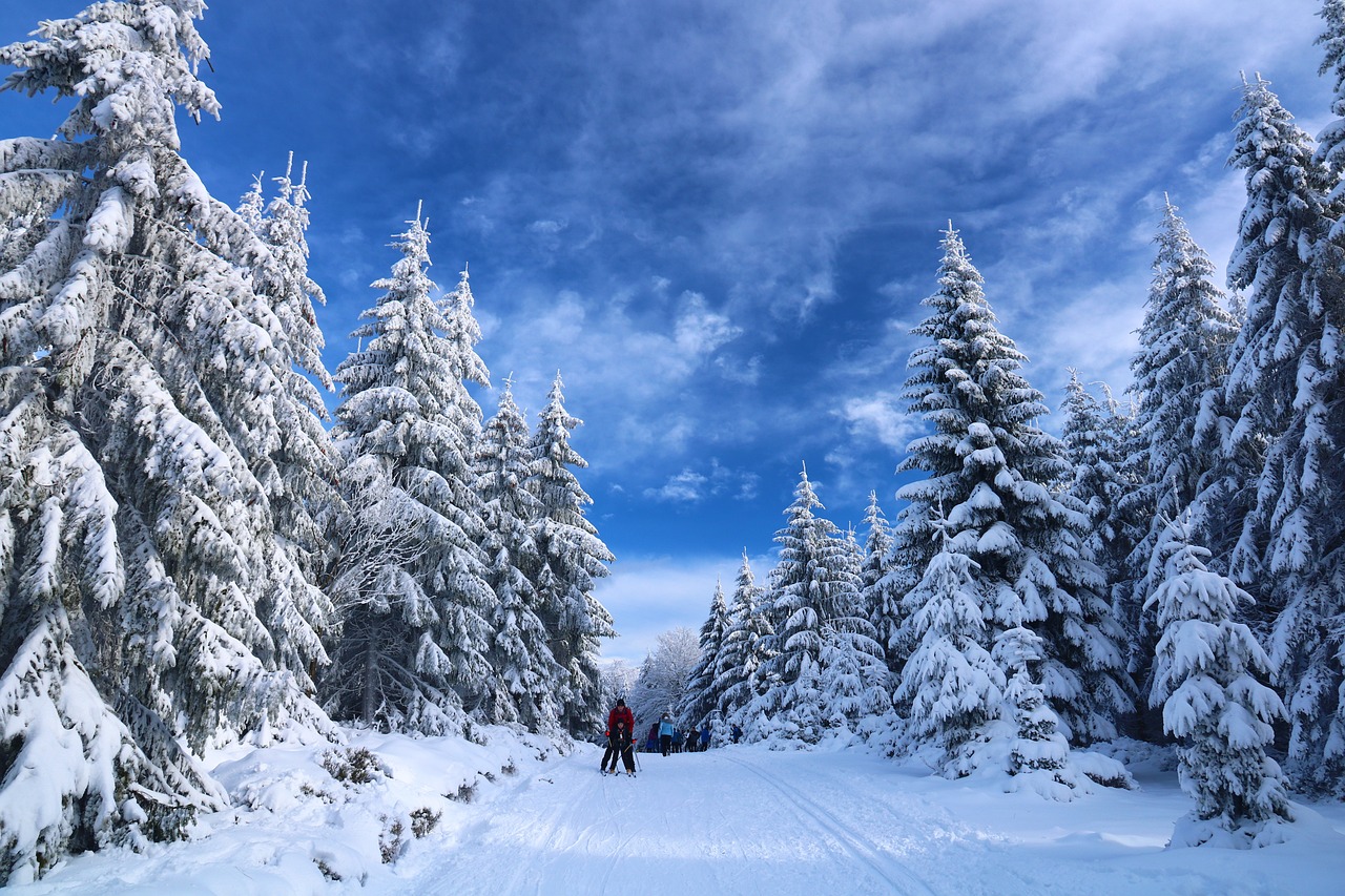 SADC des Laurentides